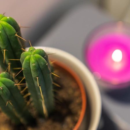 Ruote Apt - Dolcevita Holiday Lägenhet Florens Exteriör bild