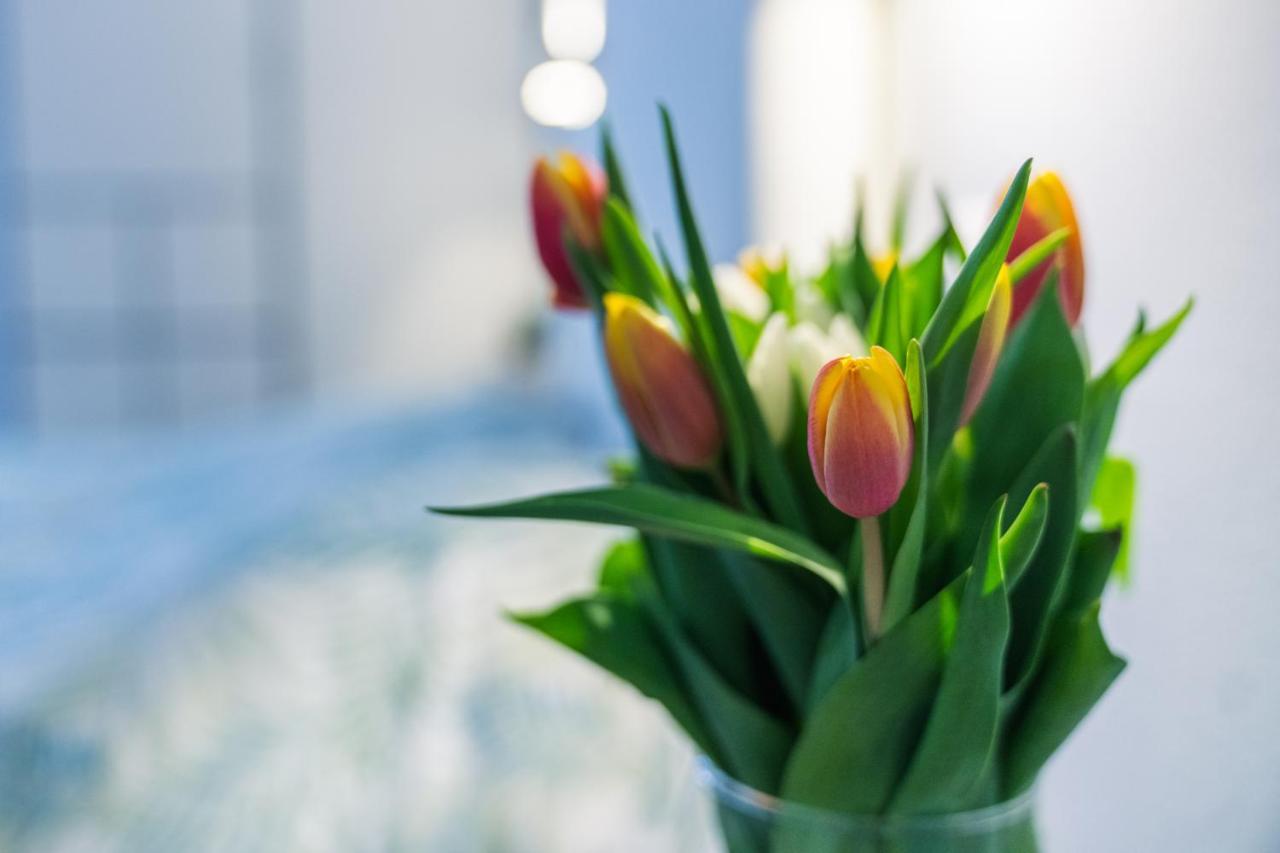 Ruote Apt - Dolcevita Holiday Lägenhet Florens Exteriör bild