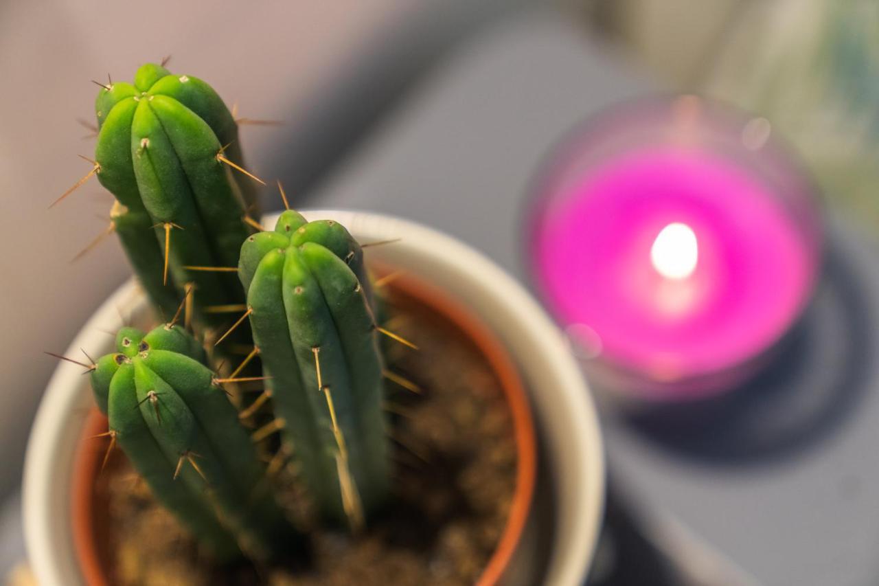 Ruote Apt - Dolcevita Holiday Lägenhet Florens Exteriör bild