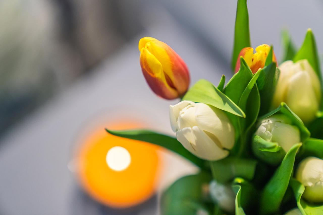 Ruote Apt - Dolcevita Holiday Lägenhet Florens Exteriör bild